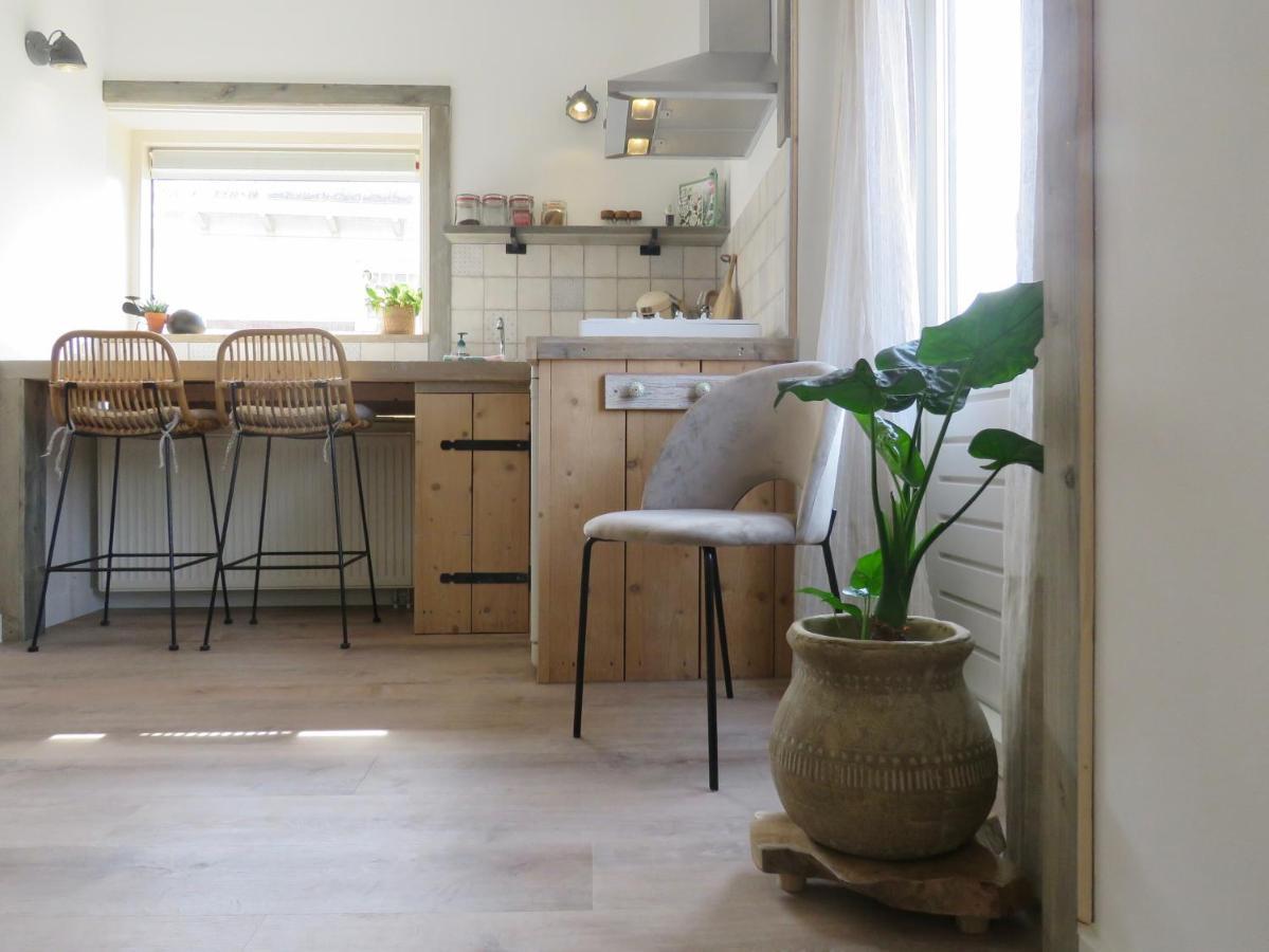 Casa Duna Close To The Beach, City Centre, Dunes And Parking Area Zandvoort Ngoại thất bức ảnh